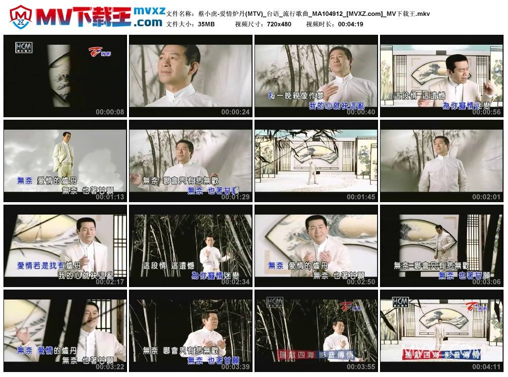 蔡小虎-爱情炉丹(MTV)_台语_流行歌曲_MA104912